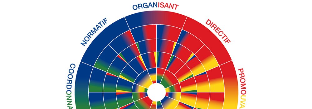 formation-disc-couleurs-management-nantes