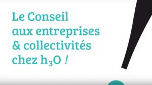 conseil-entreprises-collectivites-nantes-prestation