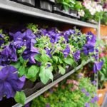 accompagnement-adv-cerdys-formation